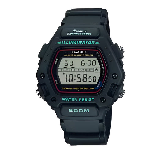 DW290-1V